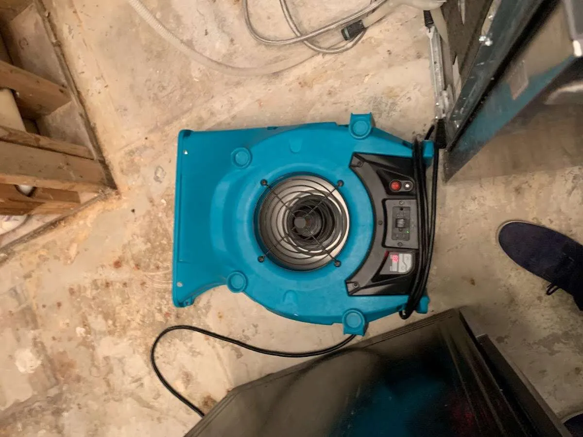 Air mover drying equipment for Mold Remediation & Removal in Fort Valley